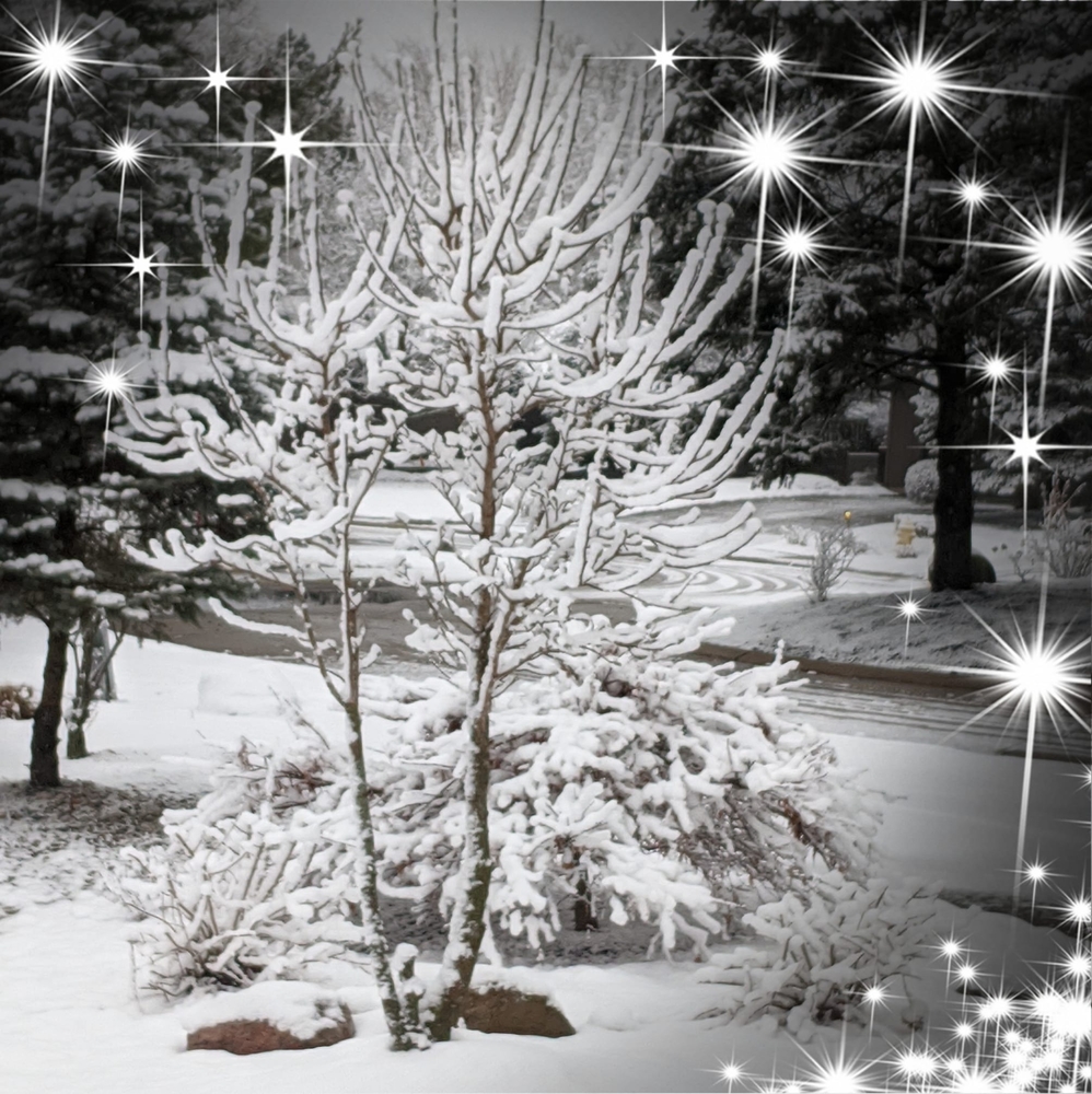 Meet your Posher, Phyllis